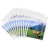 3dRose Greeting Cards - Elk bull standing in a grass meadow, Alaska Wildlife Center, Alaska - 12 Pack - Deer