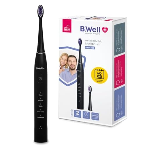 B. Well Swiss Elektrische Schallzahnbürste PRO-850, Zahnbürste mit 5 Betriebsmodi, 2 Monaten Akkulaufzeit und Timer, Inkl. 2 verschiedenfarbiger Bürstenköpfe mit DuPont-Premium-Borsten, Schwarz