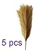 Firlar 5Pcs Artificial Pampass Grass Branches, 17 Inch Faux Silk Pampas Grass Stems, Fake Flowers Bouquets, Simulation Boho Reed Bundles, Vase Fillers Fluffy Floral Dried Pompous Arrangements, Brown