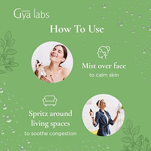 Gya Labs Eucalyptus Spray For Sinus Relief And Skin Care - Air Freshener Room Spray To Purify Air - Face Mist Spray For Tired And Dry Skin - 100 Pure And Unrefined Eucalyptus Oil Spray - 100Ml #TOP5