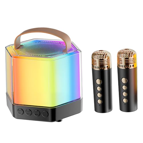 Enceinte pour Fêtes Haute Performance et Micro Karaoké Portable Sans Fil
