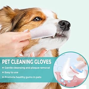  Teeth-Cleaning-Finger-Wipes-for-Dogs-Cats-Reduces-Plaque-Freshens-Breath-Teeth-Care-Wipes-Easy-to-Use-Disposable-Gentle-Cleaning-Gum-Care-Pet-Wipes-No-Rinse-Dog-Finger-Wipes50-Counts