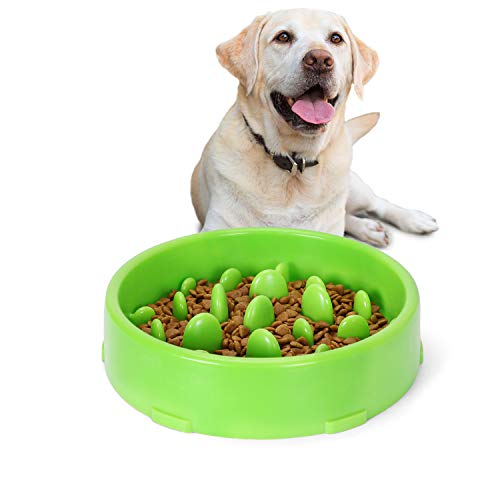 JASGOOD Slow Feeder Dog Bowl for Medium Dogs Slow Feeding Interactive Bloat Stop Dog Bowls,Green, Medium