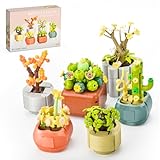 BNG Succulents Flowers Building Sets for Adult,Botanical Collection Toys for Office Home Decor,Plants Pot Bonsai for Mother's Day Women Girls 6+(520PCS)