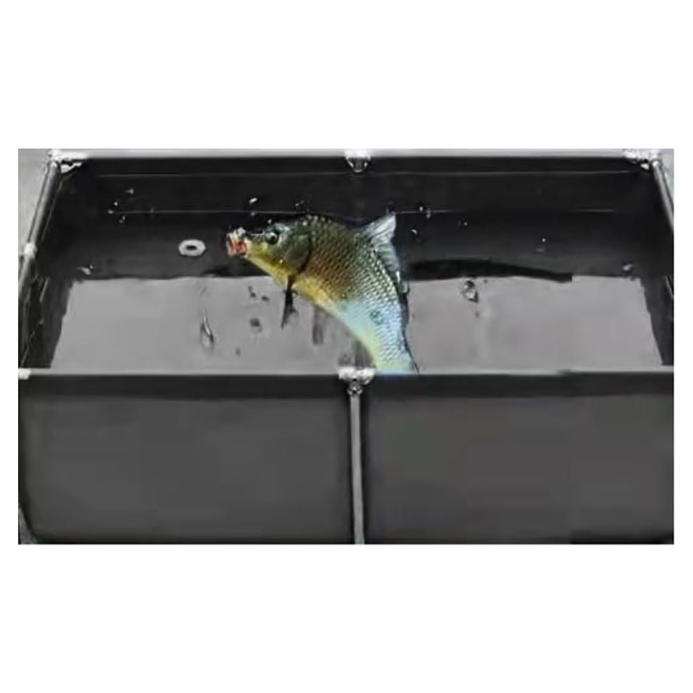 Bassin hors sol pliable en PVC noir 100x100x100 idéal culture hydroponique