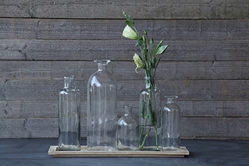 Creative Co-Op Da2672 Set Of 5 Vintage Bottle Vases On Wood Tray #TOP1