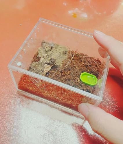 곤충 번식 상자 파충류 먹이 상자, 수목 독거미 전갈 슬링 도마뱀 뱀 게코 점핑 거미 달팽이 등각류용 방수 인클로저 인클로저 (9.9 x 8.4 x 5.8cm(3.9 x 3.3 x 2.3인치)) — 사진 3