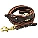 Ray Allen Mfg Signature K9 Oiled Leather Leash, 5/8