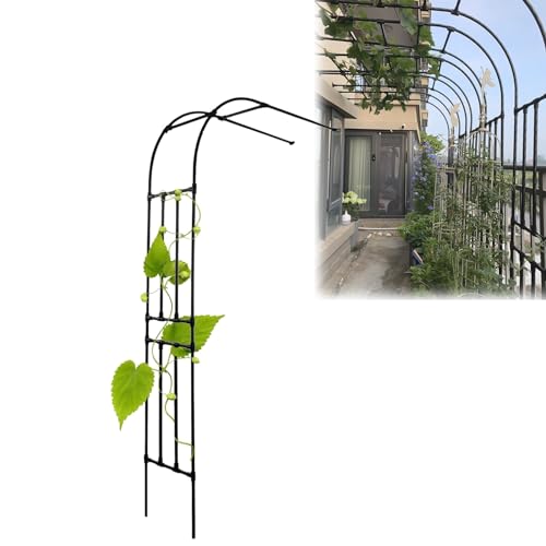 Treillis de soutien pour plantes de 240 cm résistant aux intempéries