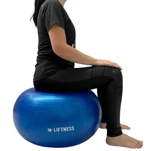 Bola de Ginástica Pilates Fisioterapia Pélvica 65cm Azul Liftness Dafoca Sports