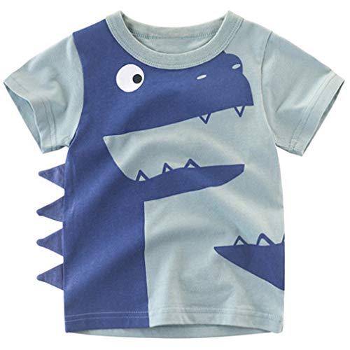 Image of Little Boys Shorts Set Toddler Boys 100% Cotton Summer Short Sleeve T-Shirts and Shorts Clothing Sets 2PCS