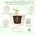 Quarut 10 inch Plastic Flower Pots for Indoor Plants?4 Pack Large Outdoor Planter Pot with Drainage Holes & Saucers?Imitation Wine Barrel Design?for Indoor Outdoor Garden Plants?Beige?