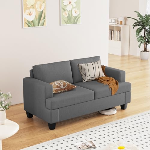 Furnimart Loveseat Couch Modern
