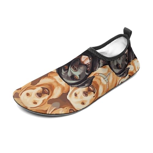 Water Shoes for Women Men Swim Beach Shoes Quick Dry Barefoot Aqua Shoes Labrador Retriever Dogs Sport Shoes Hiking Shoes