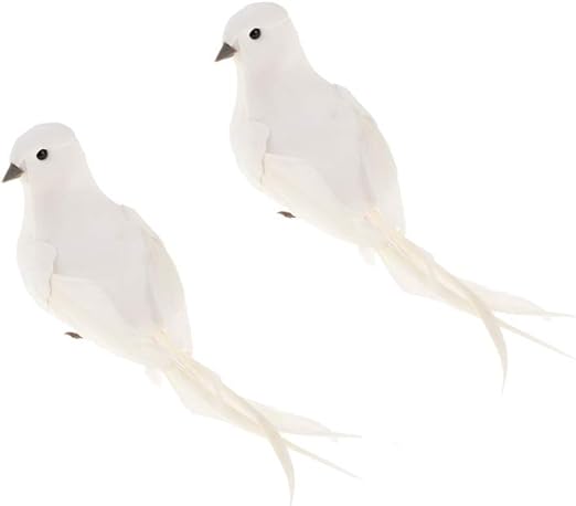 Amazon Co Jp Amleso オブジェ 置物 ガーデンオーナメント クラフト 白い鳥 フィギュア 動物モデル 子供 おもちゃ 2個セット ホーム キッチン Amazon Co Jp Amleso オブジェ 置物 ガーデンオーナメント クラフト 白い鳥 フィギュア 動物モデル 子供 おもちゃ 2個セット ホーム キッチン