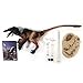 Creative Beast Studio Beasts of The Mesozoic: Raptor Series 2 Mongoliensis (Black Version 2) Action Figure