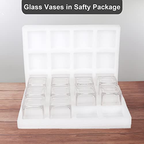 12 Pack Clear Square Glass Vases, Planter Terrarium Flowers Vase Candle Holder For Home,Garden, Wedding Centerpiece Decrations And Formal Dinners (Width 3", Height 3") #TOP6