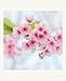 Cherry Blossom Art, 16 Note Cards: 16 Different Blank Cards with Envelopes in a Keepsake Box!