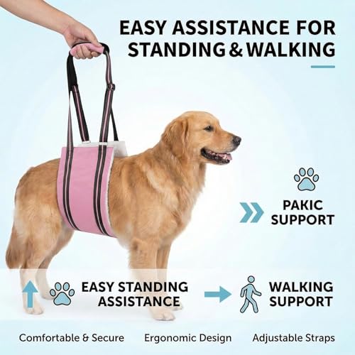 Dog Lift Harness Support Sling, Rear Leg Support Harness for Senior Disabled Dogs, Adjustable Sling with Reflective Strap (Pink, L) - Image 3