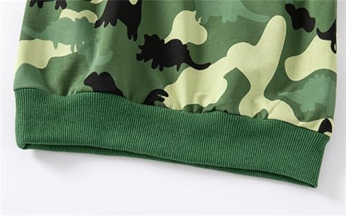 Toddler Boy Long Sleeve Crewneck Sweatshirt Dinosaur Print Spring 6