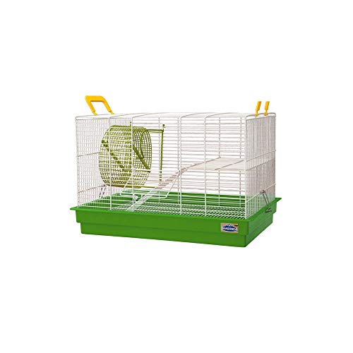 Gaiolas Bragança Hamster sirio