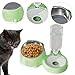 Baoblaze Double Cat Bowls Raised Cat Dish with Automatic Water Bottle,15°Tilted,2 in 1,Pet Feeder,Pet Food Water Bowl for Puppy Kitten, Green