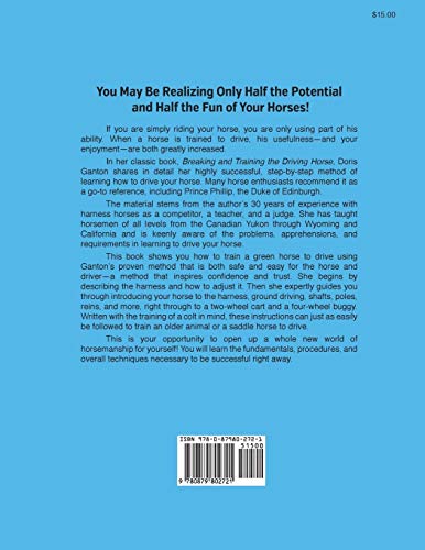 Breaking and Training the Driving Horse: A Detailed and Comprehensive Study - Thumbnail 2