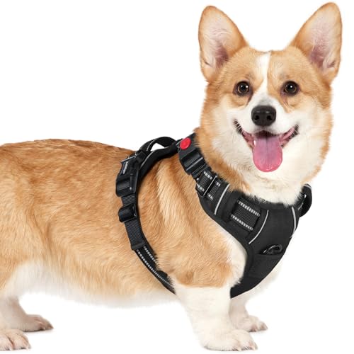 rabbitgoo Dog Harness Small Sized, No Pull Pet Harness with 3 Buckles, Adjustable Soft Padded Vest with Control Handle, Walking Reflective Pet Vest for Small Dogs, Black, S