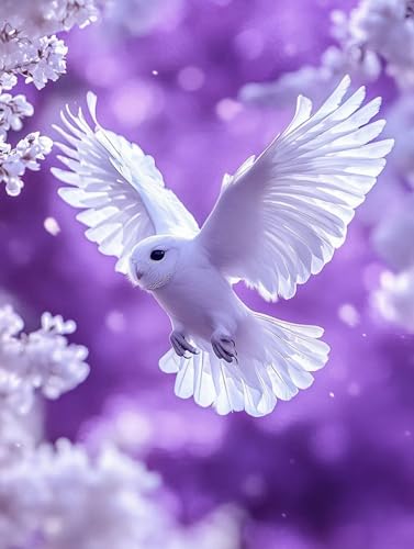 G tNE yCgoCio[  io[yCg, DIY G fW^G Lbg SҌ ȒP Paint by Numbers uVƃANG̋ h DIYG ItBX CeA rO, ւ̃Mtg 2