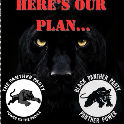A step by step plan to our way out of this w/ The Black Panthers