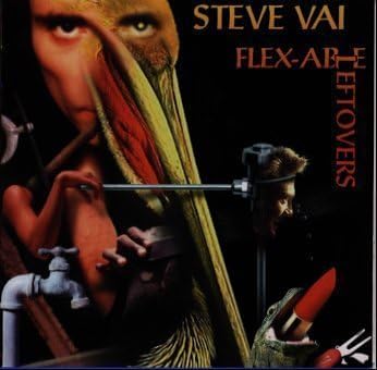 Steve Vai Flex-Able Leftovers