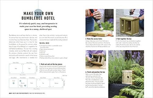 How to Attract Wildlife to Your Garden: Foods They Like, Plants They Love, Shelter They Need