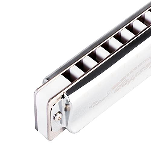 Harmonica Diatonic 10 trous harmonica ABS Comb orgue C – key Blues harpe instrument top East t008 pour débutants - Les Beatles, Paul McCartney, John Lennon, RIngo Starr, George Harrison Harmonica Diatonic 10 trous harmonica ABS Comb orgue C - key Blues harpe instrument top East t008 pour débutants – Image 6