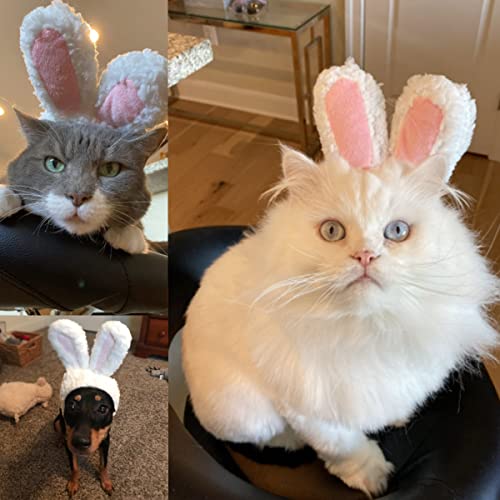 Cat Cute Costume Pet Plush Bunny Ears, Puppy Rabbit Headband Ear Hats, Snug Bunny Warm Hat With Ears For Cats Puppies And Small Dogs, Easter/Halloween/Party Cosplay (Pink, Bunny Ears) #TOP3
