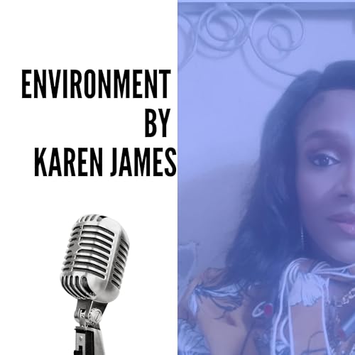 Environment Part 1 Podcast Por  arte de portada