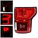 Nakuuly LED Tail Light with Blind Spot Compatible With Ford F150 2018 2019 2020 Right Passenger Side Taillight Rear Brake Lamp Signal Assembly with Bulb # KL3Z13404B(Module NOT Included)