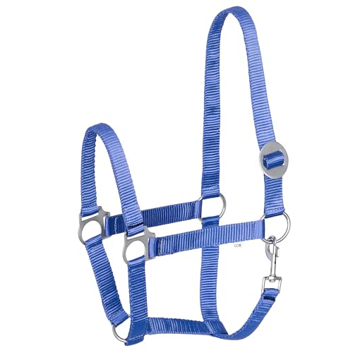 Start Economic Halfter für Pferde – Verstellbares Nylon-Stallhalfter mit Karabiner – Robust & Komfortabel – Weiches, schmutzabweisendes Material (Dunkelaqua, Cob (Vollblut))