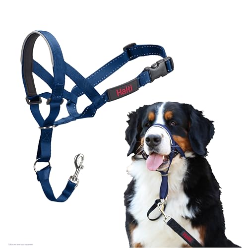 Halti Headcollar - Stop Your Dog Pulling on the Leash. Adjustable, Reflective and Lightweight, with Padded Nose Band. Dog Training Anti-Pull Collar for Large Dogs (Size 4, Cobalt Blue) by Halti - Used condition - US$21.26