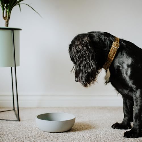 District 70 - Bamboo Hundenapf - Eisblau - Medium: 17, 5 x 17, 5 x 5, 8 cm (1.000 ml)