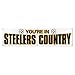 NFL Pittsburgh Steelers 2-Foot by 8-Foot Team Banner Flag