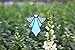 HAOSUM Angel Ornament Stained Glass Window Hangings Ornament Holiday Decor Memorial Remembrance Sympathy Gifts,Angel Gifts for Women(Blue) 5.5