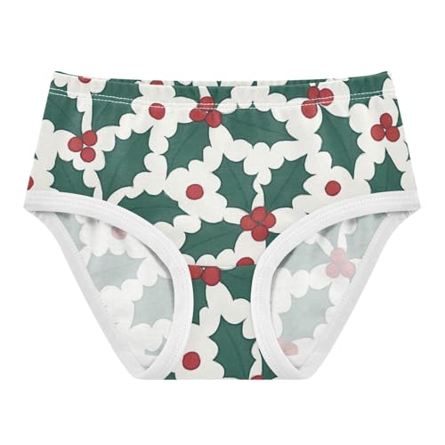 Girls' Briefs Breathable Underwear for Toddler Girls Seamless Holly Pattern