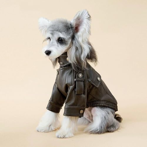 Ropa de invierno para cachorros y perros pequeños abrigo resistente al viento elegante 8