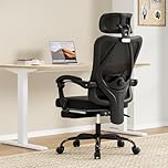 Farini Ergonomic Office Chair with Footrest, Mesh Office Desk Chair with Headrest, High Back Computer Chair with Adjustable Lumbar Support for Home Office Study Room Bedroom, Black & Black