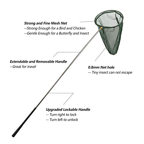 Professional Insect And Butterfly Net With 14" Ring, 26" Net Depth, 59" Telescopic Handle Full Extends To 73" Stainless Lockable (73" Long, Green) #TOP2