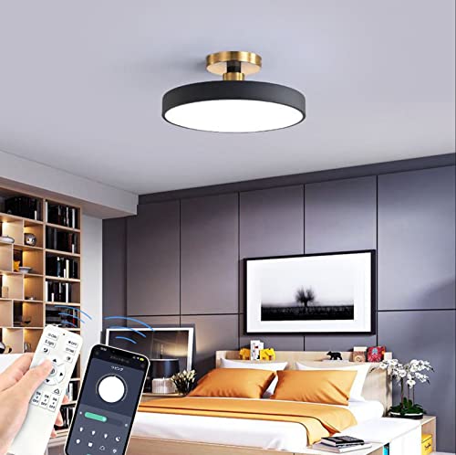 BKBEINGKING 北欧風 2-4畳 APP遠隔制御 無段階調光調色 LED シーリングライト 北欧 おしゃれ インテリア ライト リモコン付き 玄関 天井 照明器具 間接照明 和室 居間 日本語説明書 BK-HTM443【ブラック 直径30cm 2-