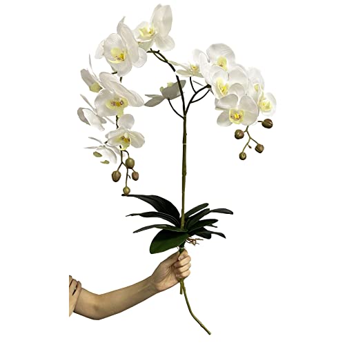 Zooeyroose Artificial Phalaenopsis Leaves Simulation Faux Moth Orchids Leaves Real Latex Touch Cymbidium Stems Green Plant For Home Outdoor And Indoor Flowers Arrangement Garden Pot Decoration 2Pcs #TOP6