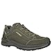 LOWA Men's Renegade EVO GTX LO Low Hiking Shoe - Black, Size 8, Olive Beige, 10