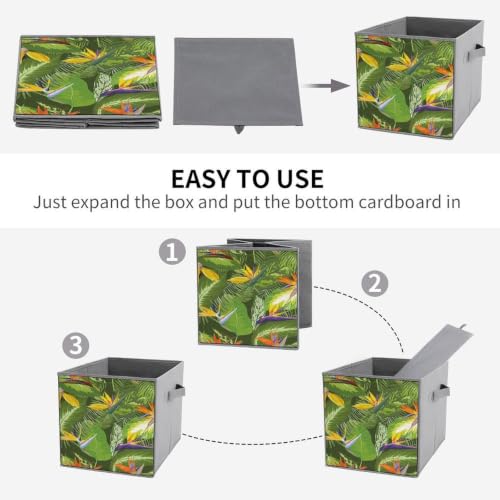 MoaDnoej Fresh Brazilian Forest Untouched Jungle Paradise Tropical Foliage Flowers Oxford Cloth Storage Cubes 6-Pack Foldable Fabric Drawer Bins Organizer for Home Closet Shelves - Image 4