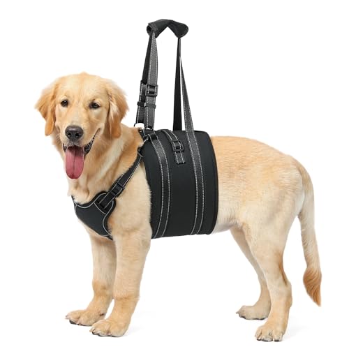 NOYAL Dog Lift Harness Sling - Adjustable Pet Carrier for Senior Dogs with Arthritis Joint Injuries, Emergency Support Rehabilitation Aid for Nail Trimming, Stairs Assistance